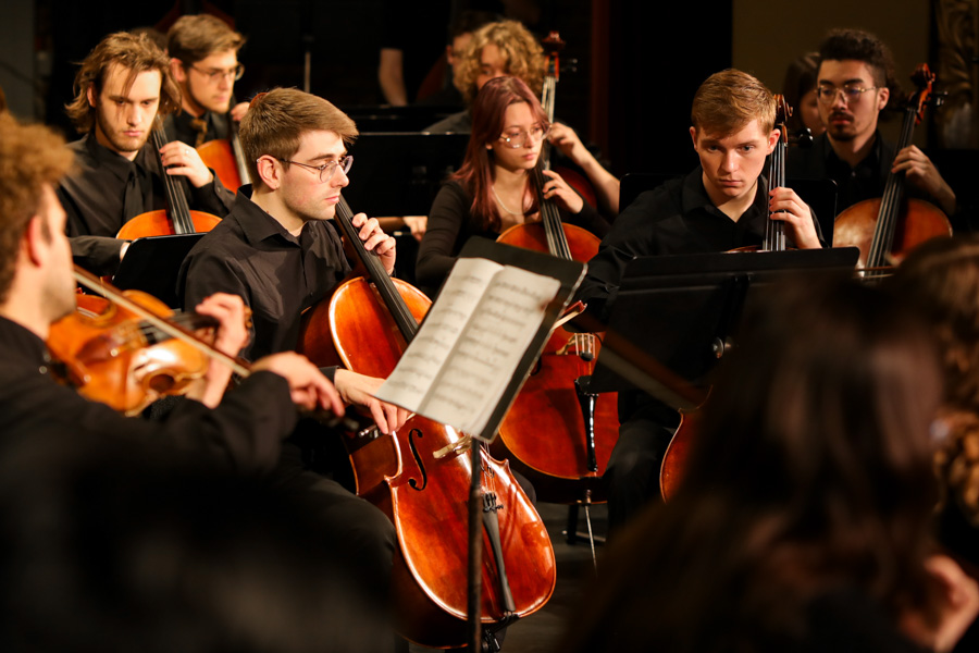 A photo of the Orchestra