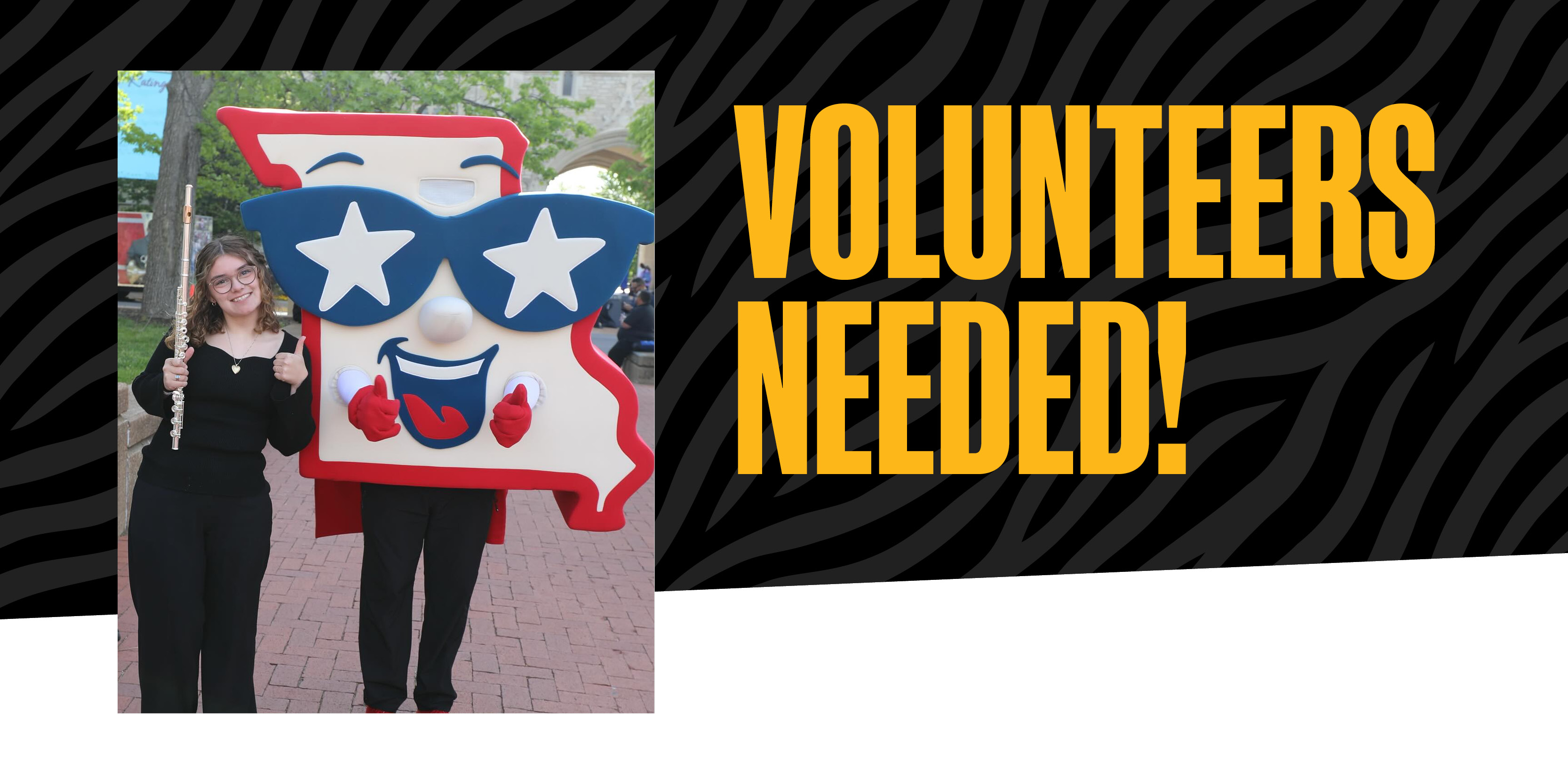 volunteers needed graphic