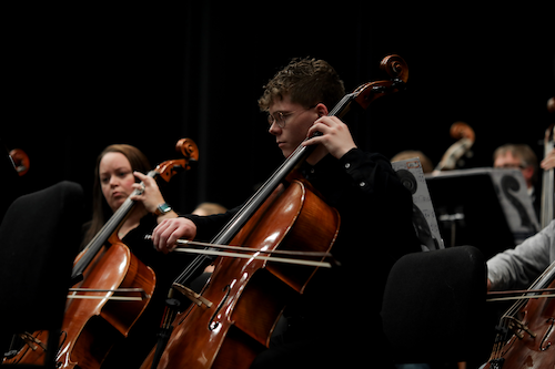 cellos