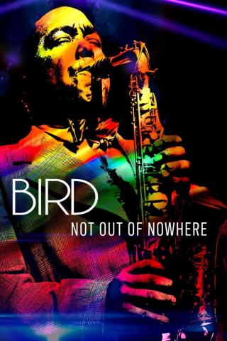 Bird Out of Nowhere Poster